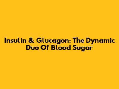 Insulin & Glucagon: The Dynamic Duo Of Blood Sugar
