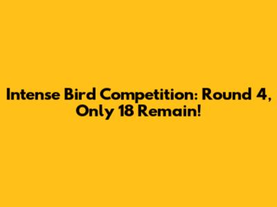 Intense Bird Competition: Round 4, Only 18 Remain!