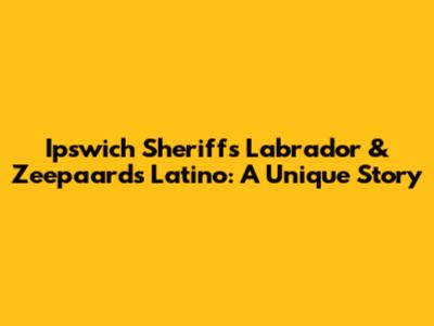 Ipswich Sheriff's Labrador & Zeepaard's Latino: A Unique Story