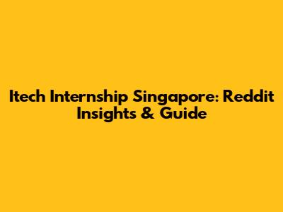 Itech Internship Singapore: Reddit Insights & Guide