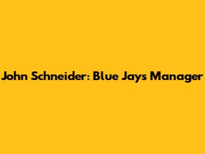 John Schneider: Blue Jays Manager