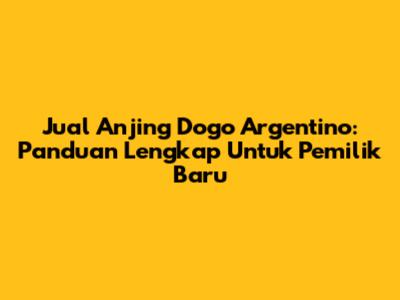 Jual Anjing Dogo Argentino: Panduan Lengkap Untuk Pemilik Baru