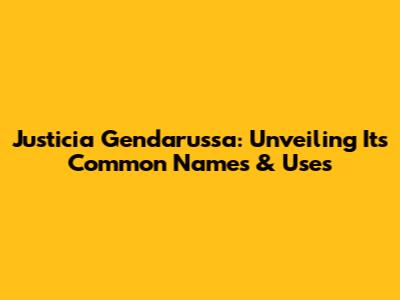 Justicia Gendarussa: Unveiling Its Common Names & Uses