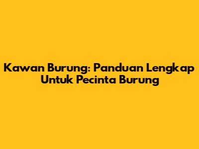 Kawan Burung: Panduan Lengkap Untuk Pecinta Burung