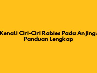 Kenali Ciri-Ciri Rabies Pada Anjing: Panduan Lengkap