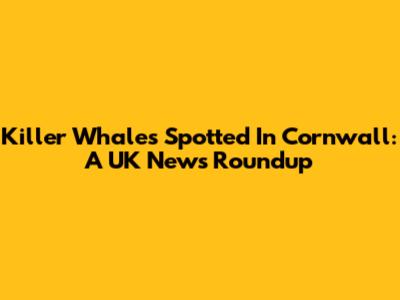 Killer Whales Spotted In Cornwall: A UK News Roundup