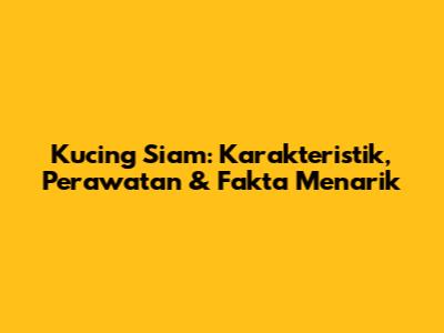 Kucing Siam: Karakteristik, Perawatan & Fakta Menarik