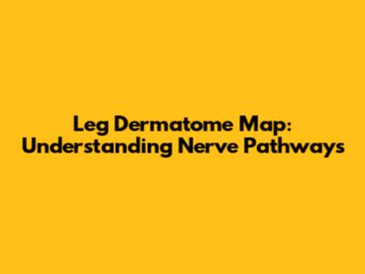 Leg Dermatome Map: Understanding Nerve Pathways