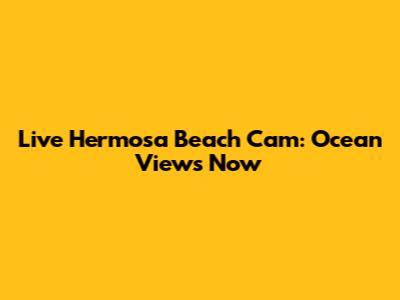 Live Hermosa Beach Cam: Ocean Views Now