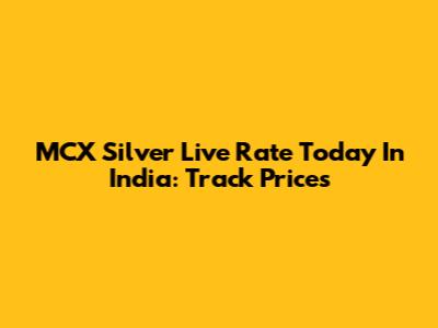 MCX Silver Live Rate Today In India: Track Prices