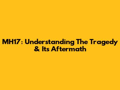 MH17: Understanding The Tragedy & Its Aftermath