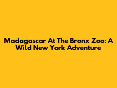 Madagascar At The Bronx Zoo: A Wild New York Adventure
