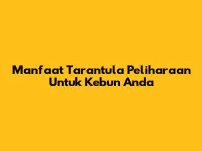 Manfaat Tarantula Peliharaan Untuk Kebun Anda