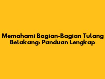 Memahami Bagian-Bagian Tulang Belakang: Panduan Lengkap
