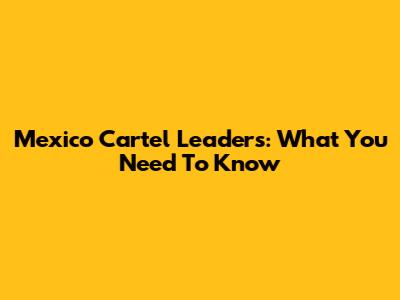 Mexico Cartel Leaders: What You Need To Know