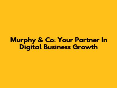 Murphy & Co: Your Partner In Digital Business Growth