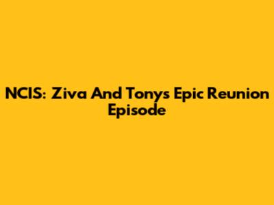 NCIS: Ziva And Tony's Epic Reunion Episode