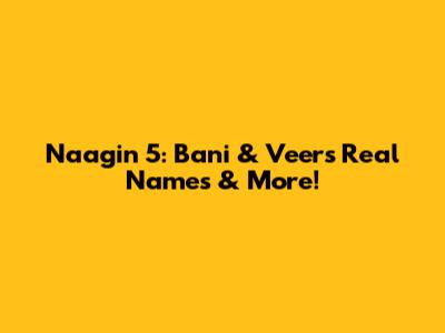 Naagin 5: Bani & Veer's Real Names & More!