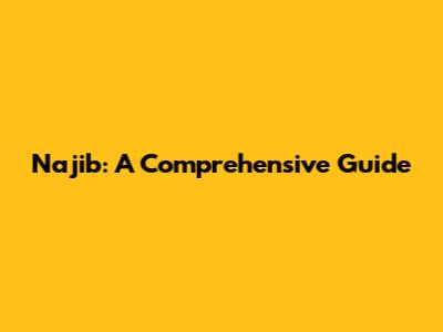 Najib: A Comprehensive Guide