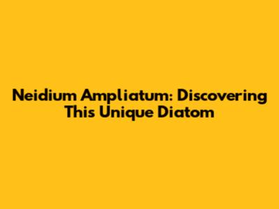 Neidium Ampliatum: Discovering This Unique Diatom