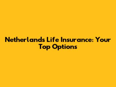 Netherlands Life Insurance: Your Top Options