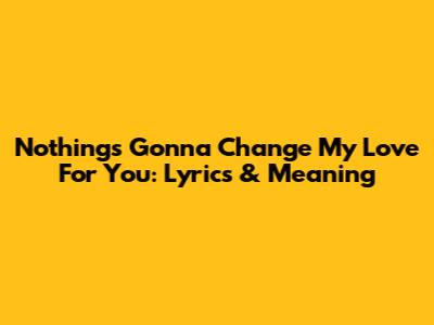 Nothing's Gonna Change My Love For You: Lyrics & Meaning