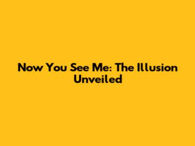 Now You See Me: The Illusion Unveiled