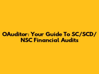 OAuditor: Your Guide To SC/SCD/NSC Financial Audits