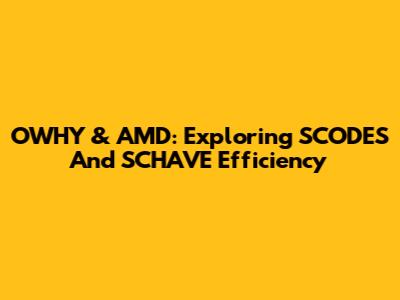 OWHY & AMD: Exploring SCODES And SCHAVE Efficiency