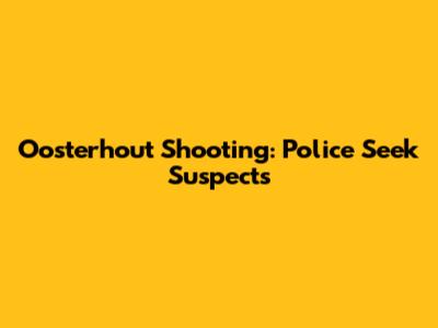 Oosterhout Shooting: Police Seek Suspects