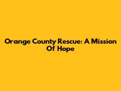 Orange County Rescue: A Mission Of Hope