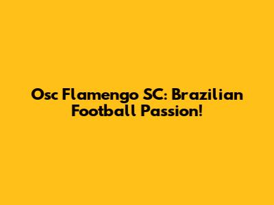Osc Flamengo SC: Brazilian Football Passion!