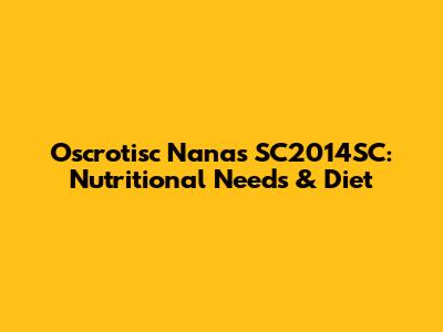 Oscrotisc Nanas SC2014SC: Nutritional Needs & Diet