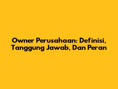 Owner Perusahaan: Definisi, Tanggung Jawab, Dan Peran
