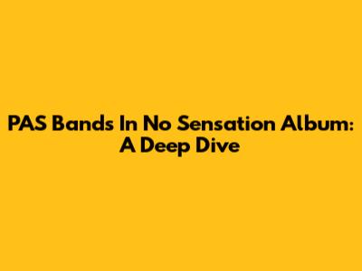 PAS Band's 'In No Sensation' Album: A Deep Dive