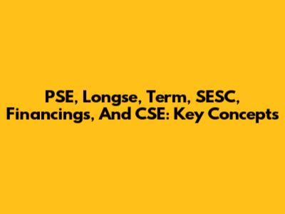 PSE, Longse, Term, SESC, Financings, And CSE: Key Concepts