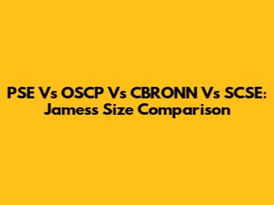 PSE Vs OSCP Vs CBRONN Vs SCSE: James's Size Comparison