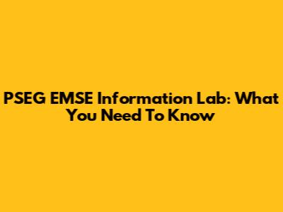PSEG EMSE Information Lab: What You Need To Know