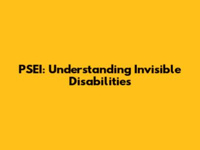 PSEI: Understanding Invisible Disabilities