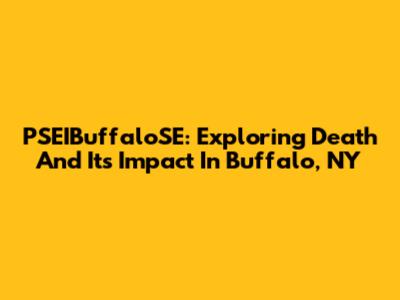 PSEIBuffaloSE: Exploring Death And Its Impact In Buffalo, NY