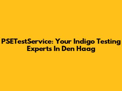 PSETestService: Your Indigo Testing Experts In Den Haag