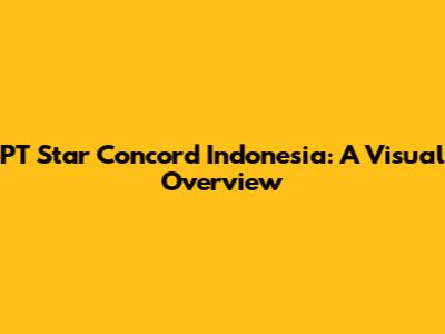 PT Star Concord Indonesia: A Visual Overview