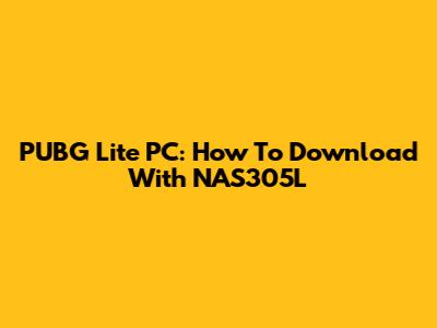 PUBG Lite PC: How To Download With NAS305L