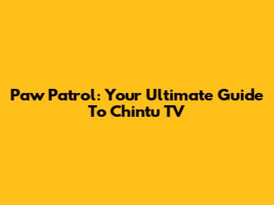 Paw Patrol: Your Ultimate Guide To Chintu TV