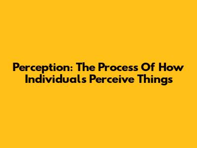 Perception: The Process Of How Individuals Perceive Things