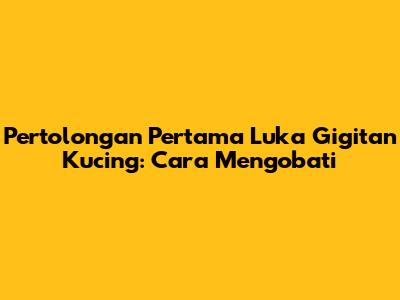 Pertolongan Pertama Luka Gigitan Kucing: Cara Mengobati