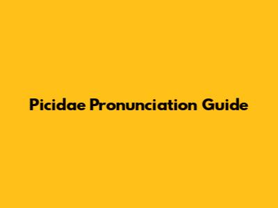 Picidae Pronunciation Guide