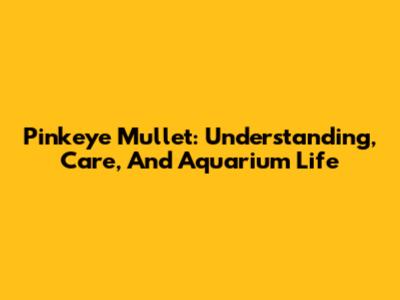Pinkeye Mullet: Understanding, Care, And Aquarium Life