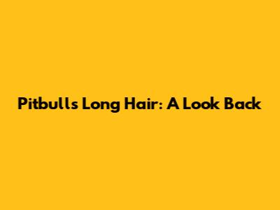 Pitbull's Long Hair: A Look Back