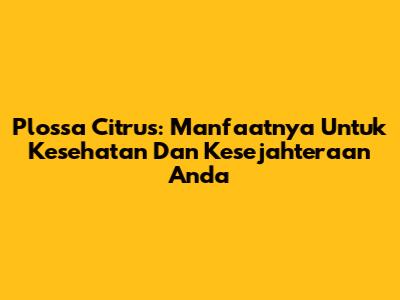 Plossa Citrus: Manfaatnya Untuk Kesehatan Dan Kesejahteraan Anda
